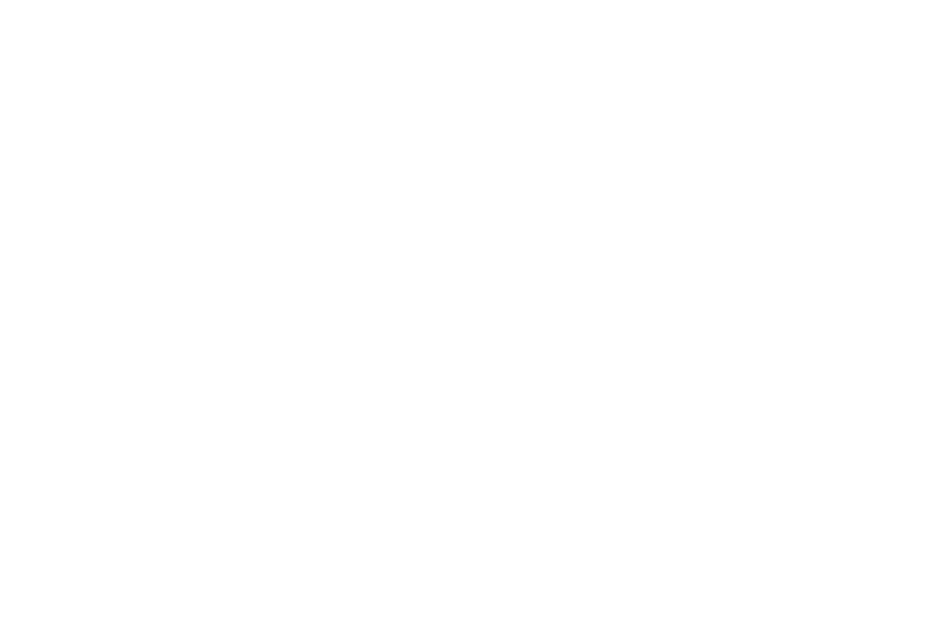 logo-image