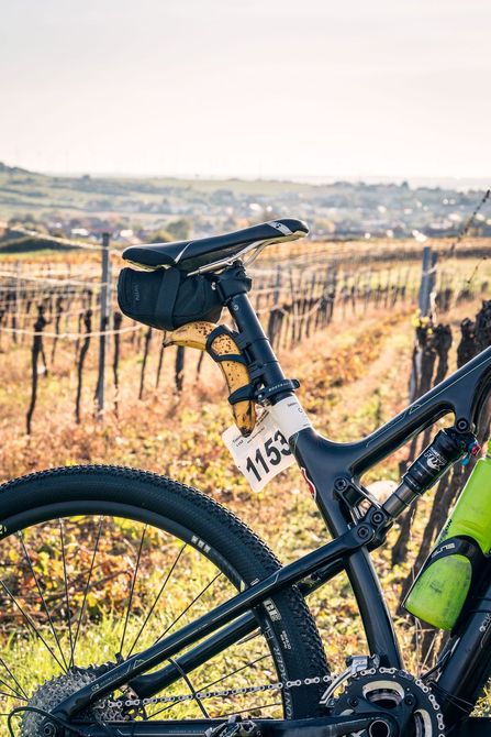 Schwarzes Mountainbike auf einem Weinbergweg mit nummeriertem Schild, Hügel im Hintergrund