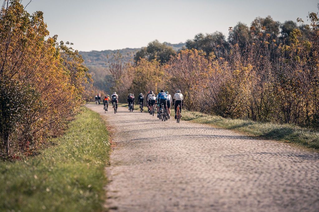 Eine kleine Gruppe wandert auf einem unbefestigten Pfad durch herbstlich gewachsene Bäume und Gebüsche.