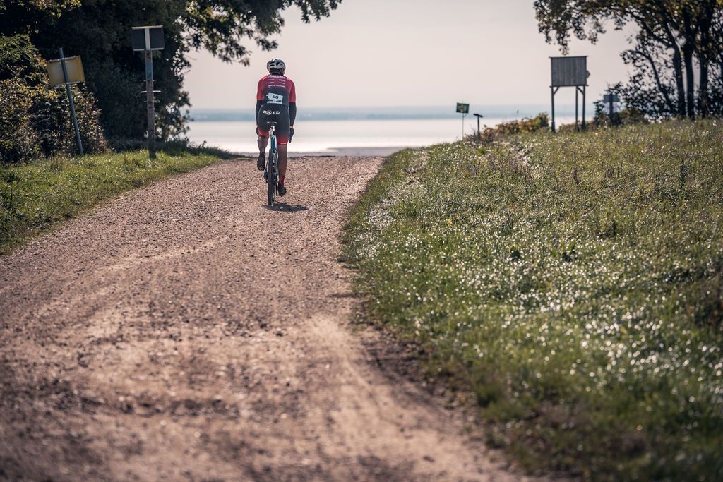 Ein Radfahrer fährt auf einem unbefestigten Weg zwischen Wiesen und Bäumen in Richtung Strand.