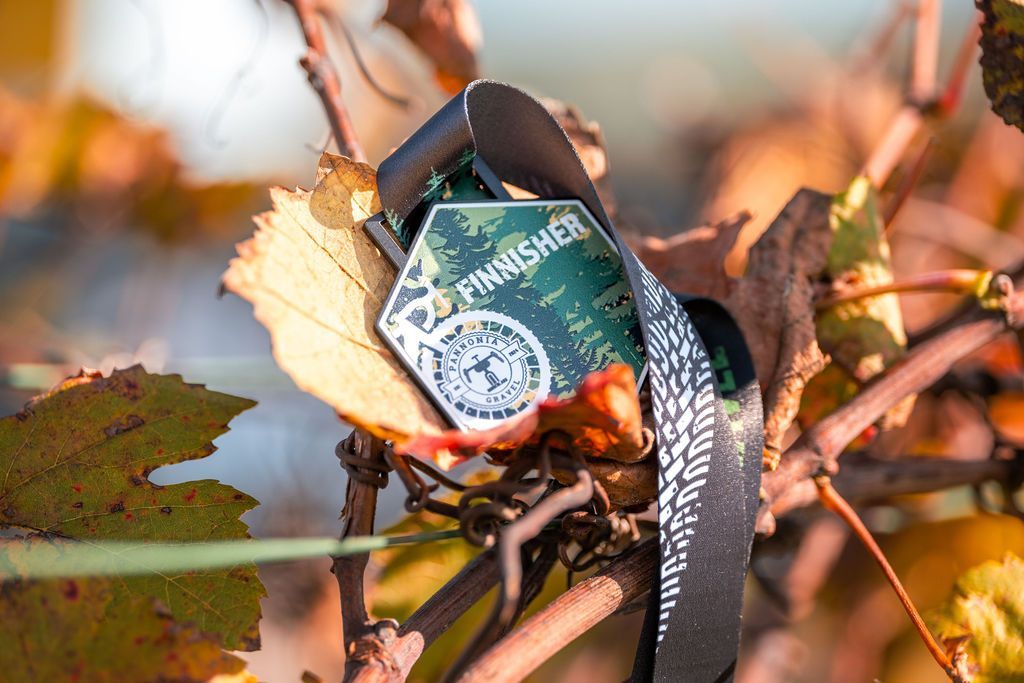 Eine mit einem schwarzen Band an einen Weinstock gebundene Bierdose, inmitten von Herbstlaub.