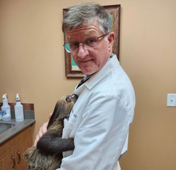 A Man In White Coat Holding A Sloth.