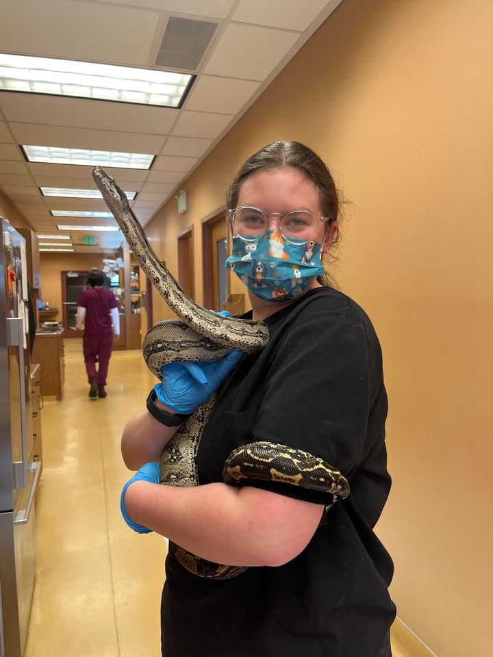 Woman Holding Large Snake.