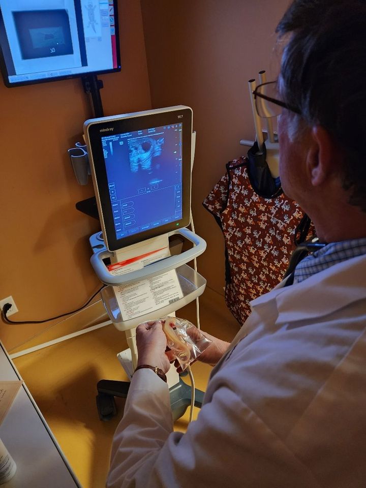 Medical Professional Operating Ultrasound Machine.
