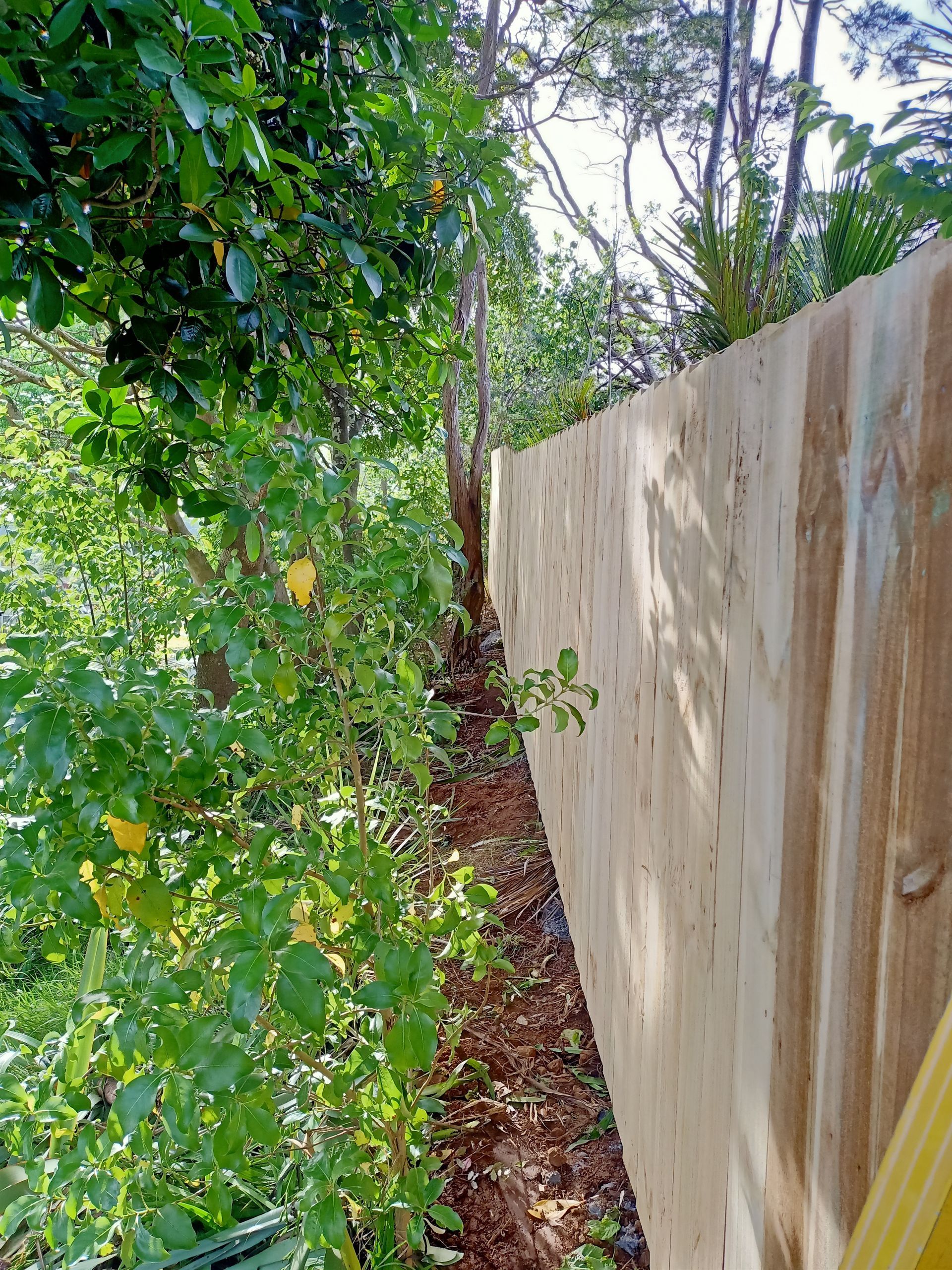 A wooden fence is surrounded by trees and bushes.
