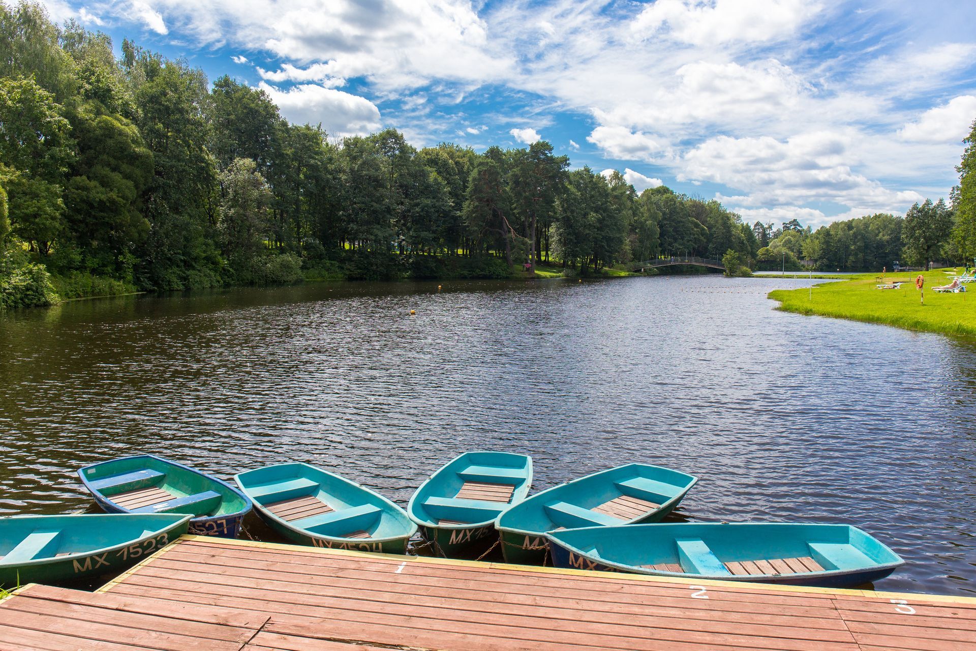 A row of boats are docked on a dock next to a lake.