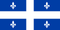 A blue flag with white fleur de lis on it