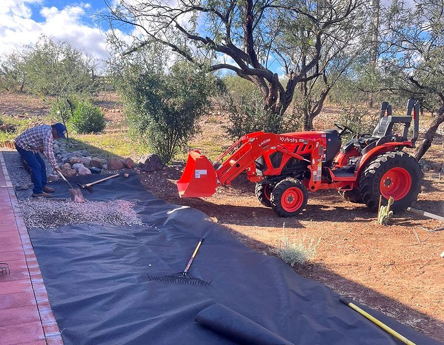 Answers for Southern Arizona Homeowners