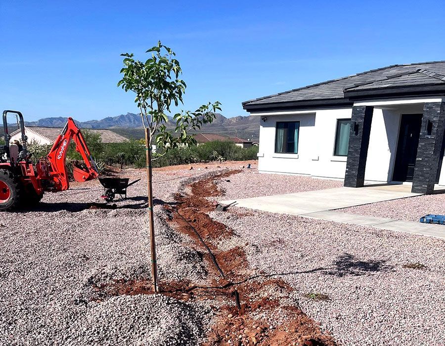 Answers to Common Water Management Questions in Southern Arizona