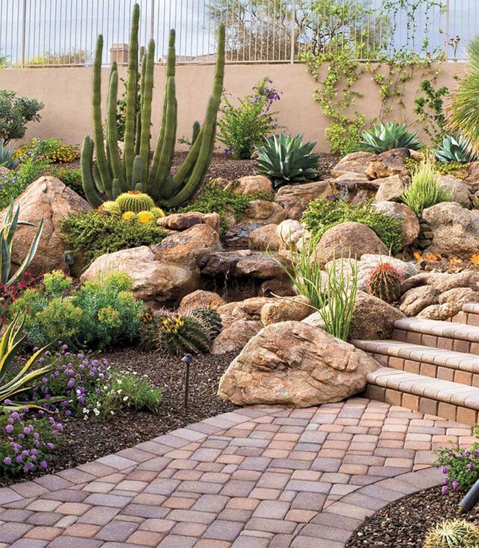 Desert-style landscaped garden with cacti, rocks, and a brick pathway