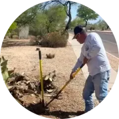 Person digging soil beside a roadside using a shovel, with a yellow post and desert shrubs nearby