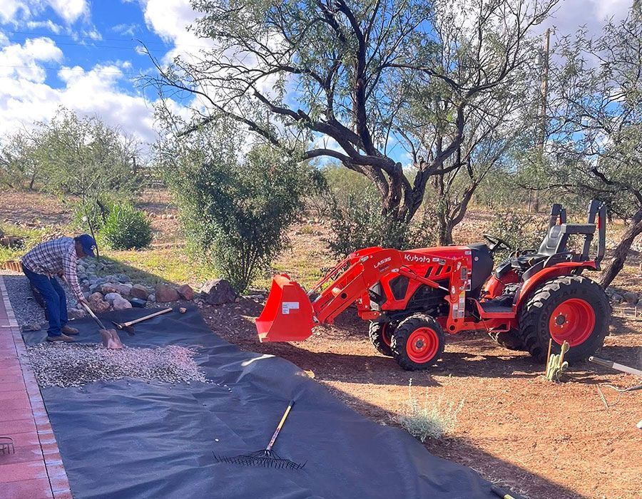 What to Expect from Perry Land Maintenance Turf Service