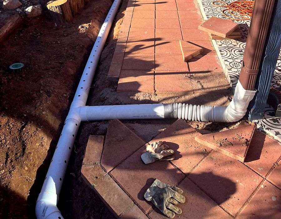 Why Proper Irrigation and Drainage Matter in the Sonoran Desert