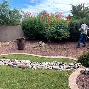 Landscaped yard with rock border, shrubs, and a person standing near flowering bushes