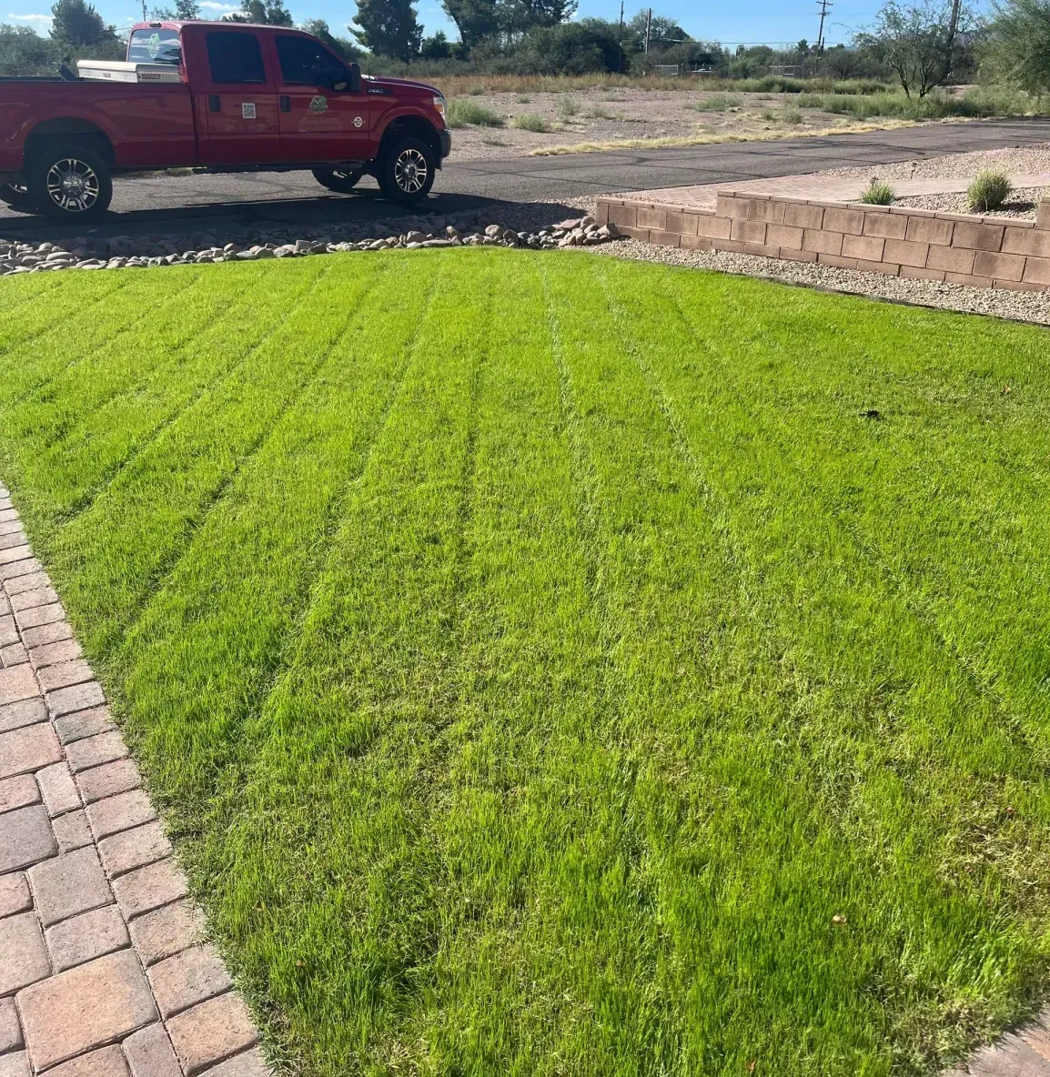 Comprehensive Property Care for Arizona’s Unique Climate