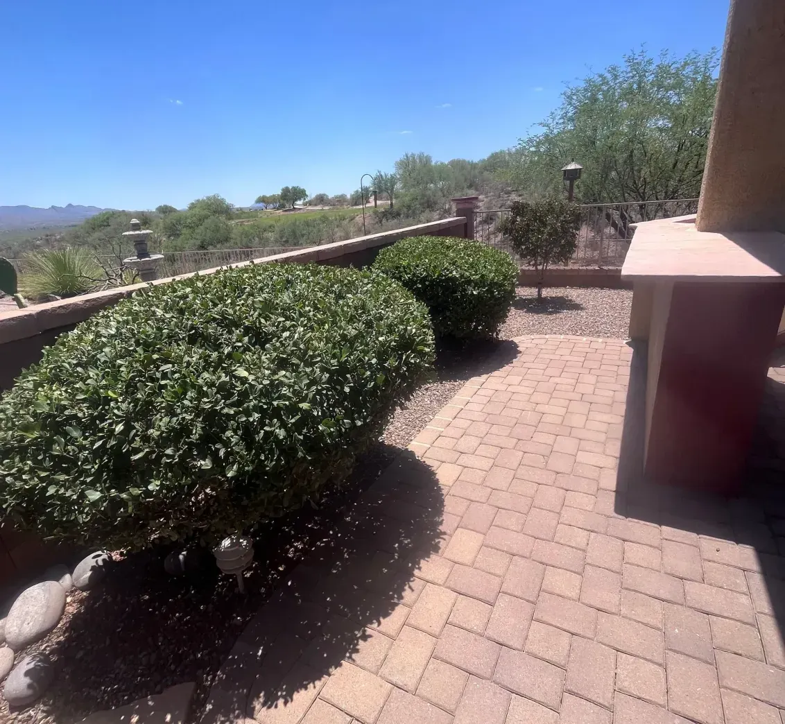 Your Property Is in Trusted Hands Year-Round