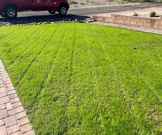 Bright green lawn beside a brick walkway, with a red truck and raised stone border in the background