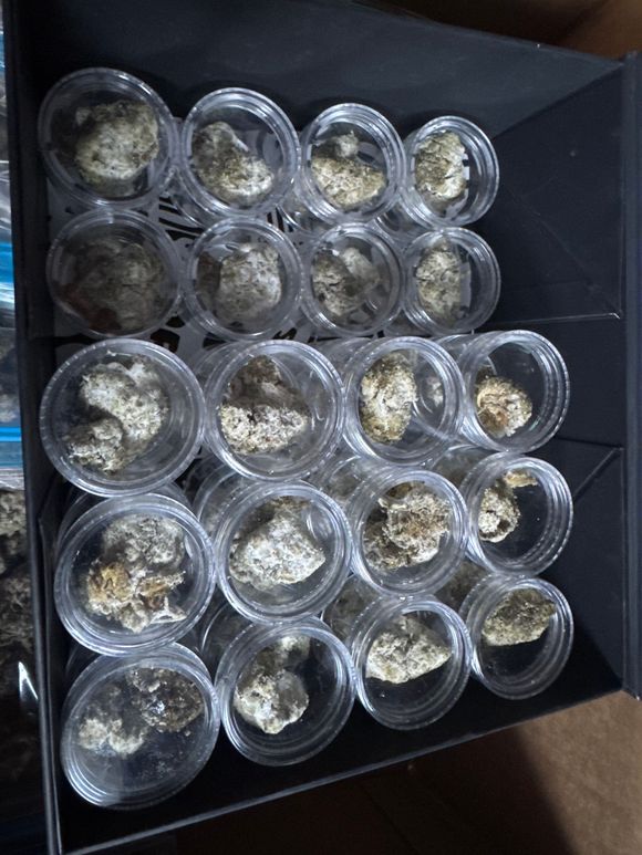 Tray of small clear plastic cups filled with a beige, crumbly substance on a black surface