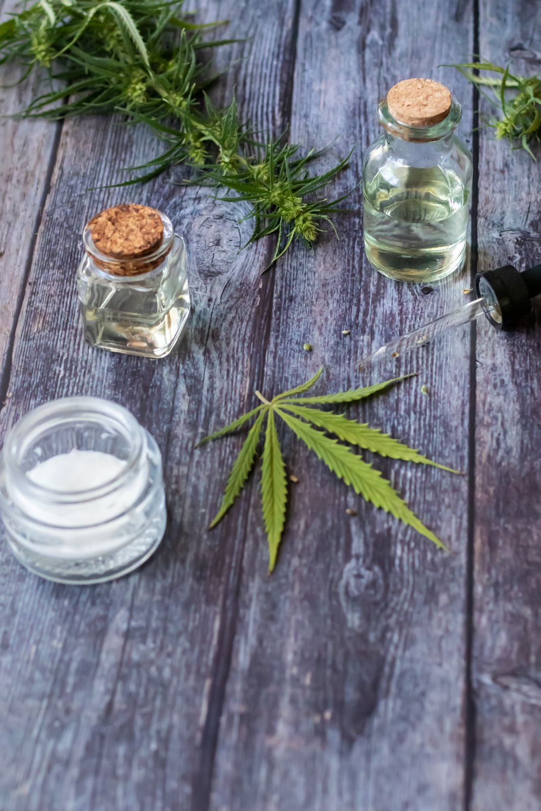 Cannabis leaves and glass jars of clear oil on rustic wooden boards with sprigs of herbs