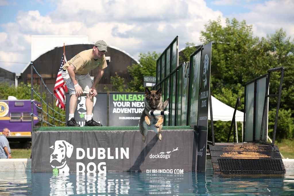 Lil Monster Photography owner watching his dog dock diving in Massachusetts. 