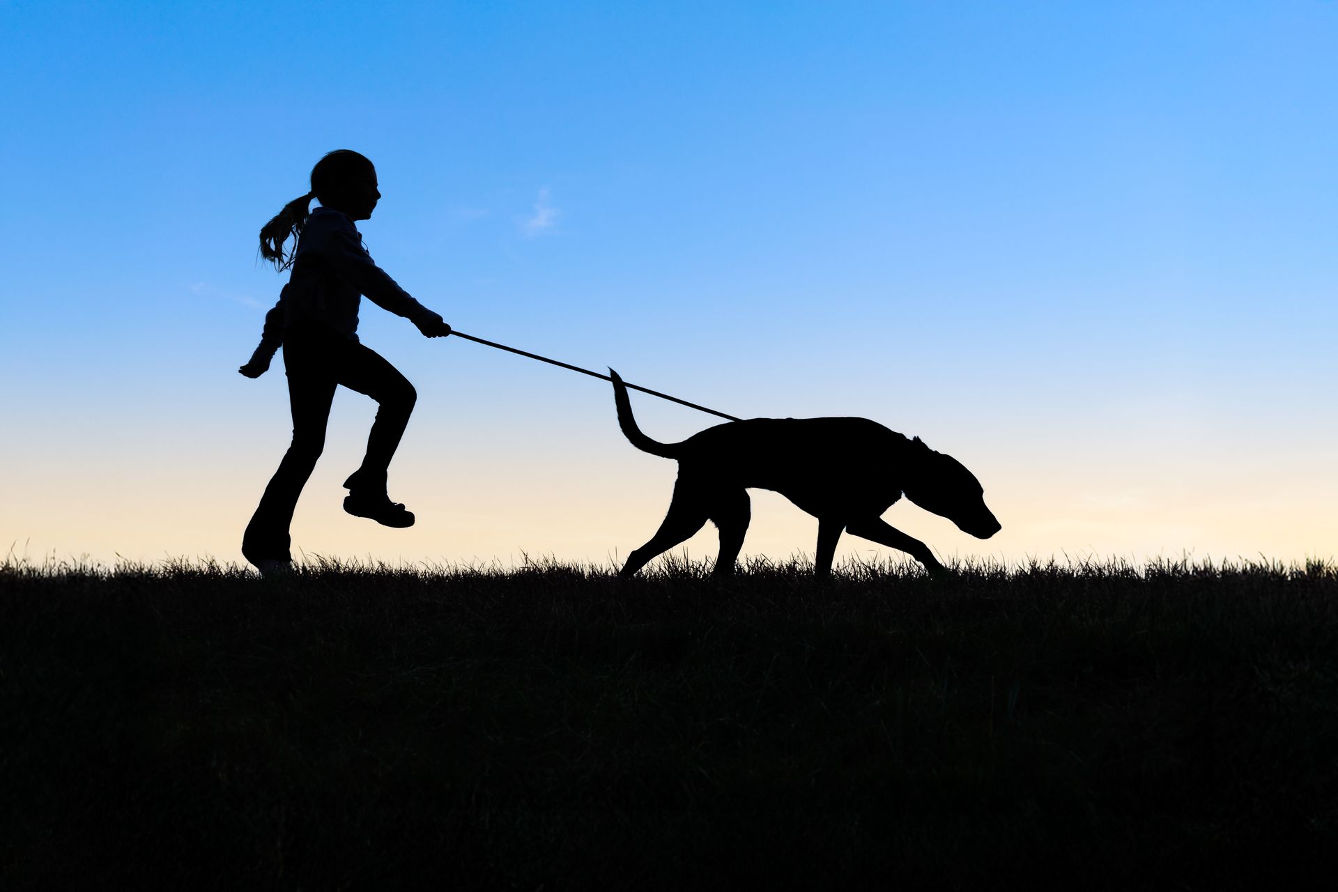 A silhouette image of a little girl walking a dog during a sunset in Massachusetts.