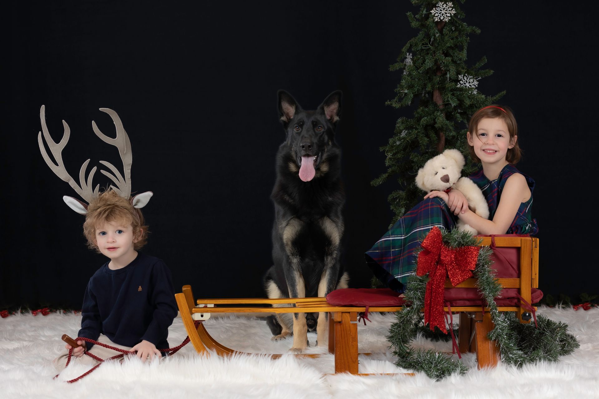 Two children photographed with a German Shepherd during a holiday family and dog photography session