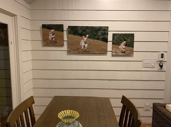 Framed metal wall art featuring a German Shepherd running through snow created by Lil Monster Photog
