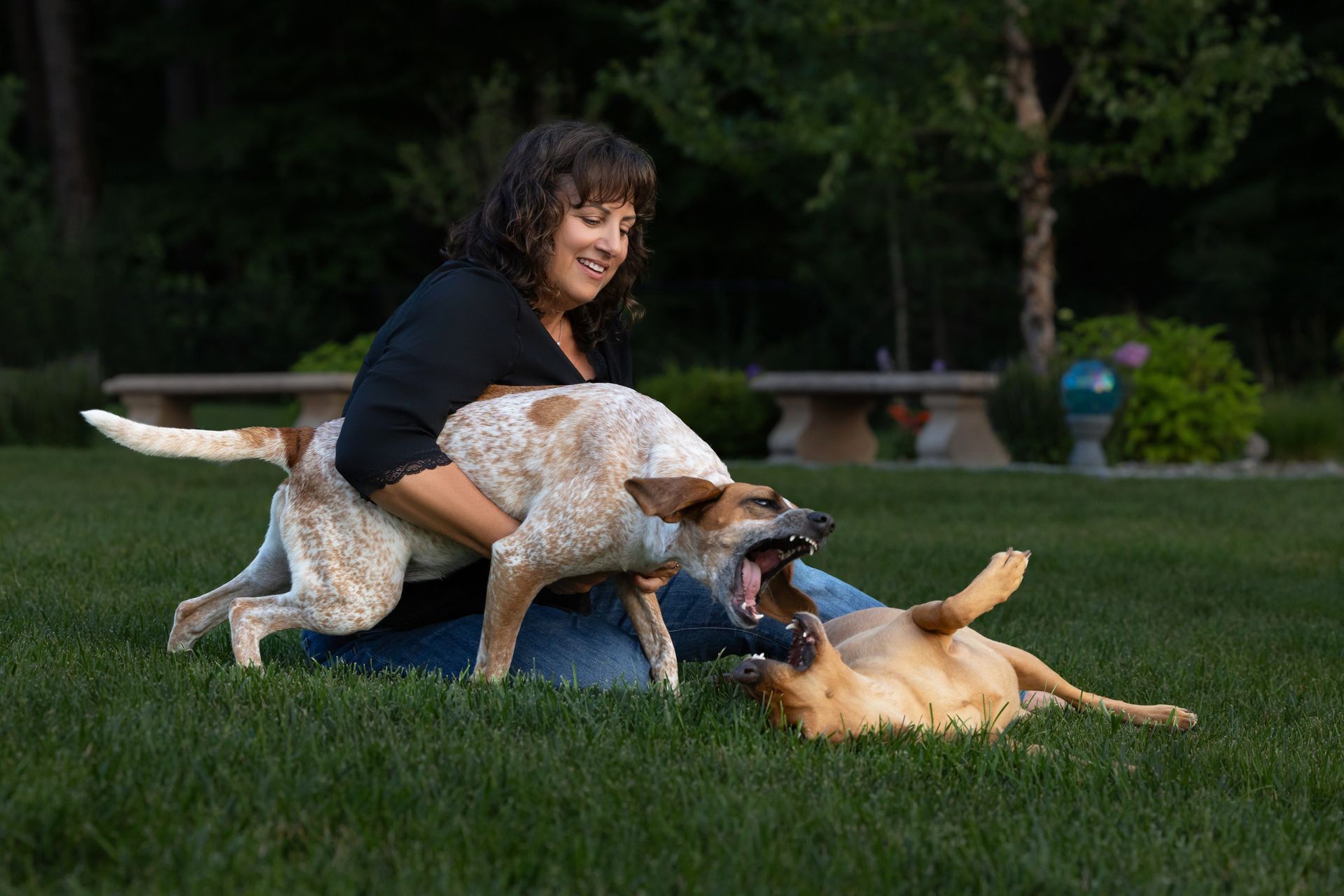 Family photographed with multiple dogs during a professional dog photography session