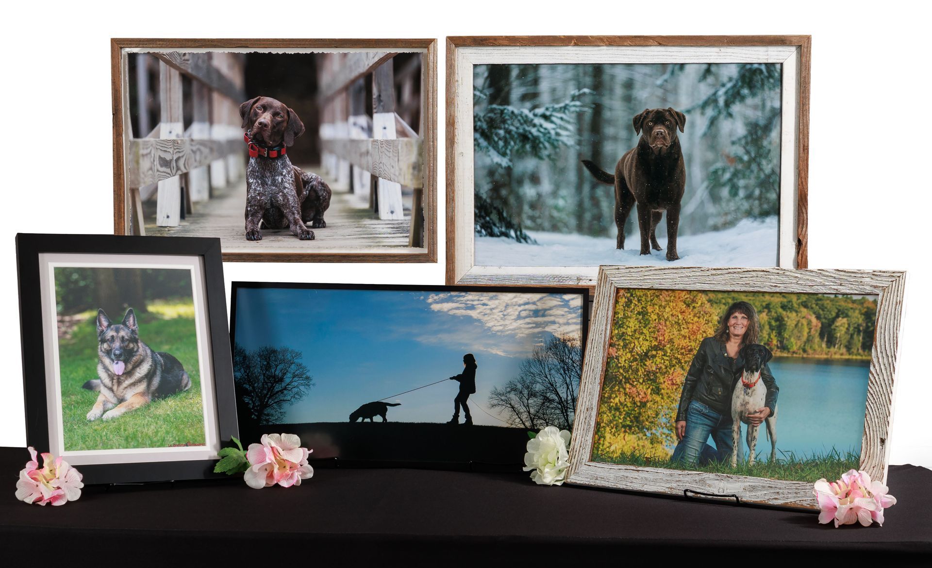 Custom dog photography artwork featuring professionally printed portraits and personalized layouts