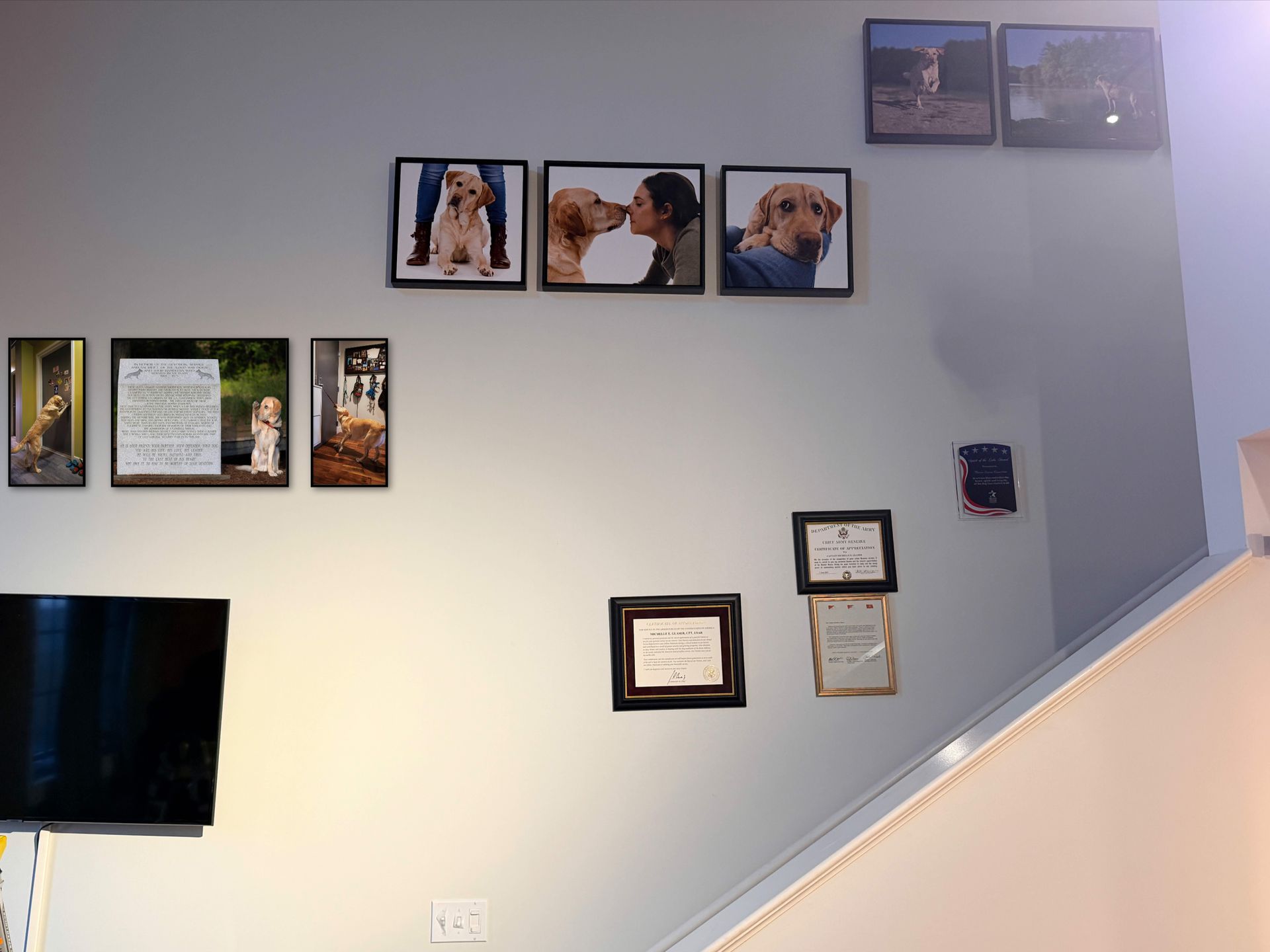 Multiple art galleries hanging on a client wall showing their sessions with Lil Monster Photography. 