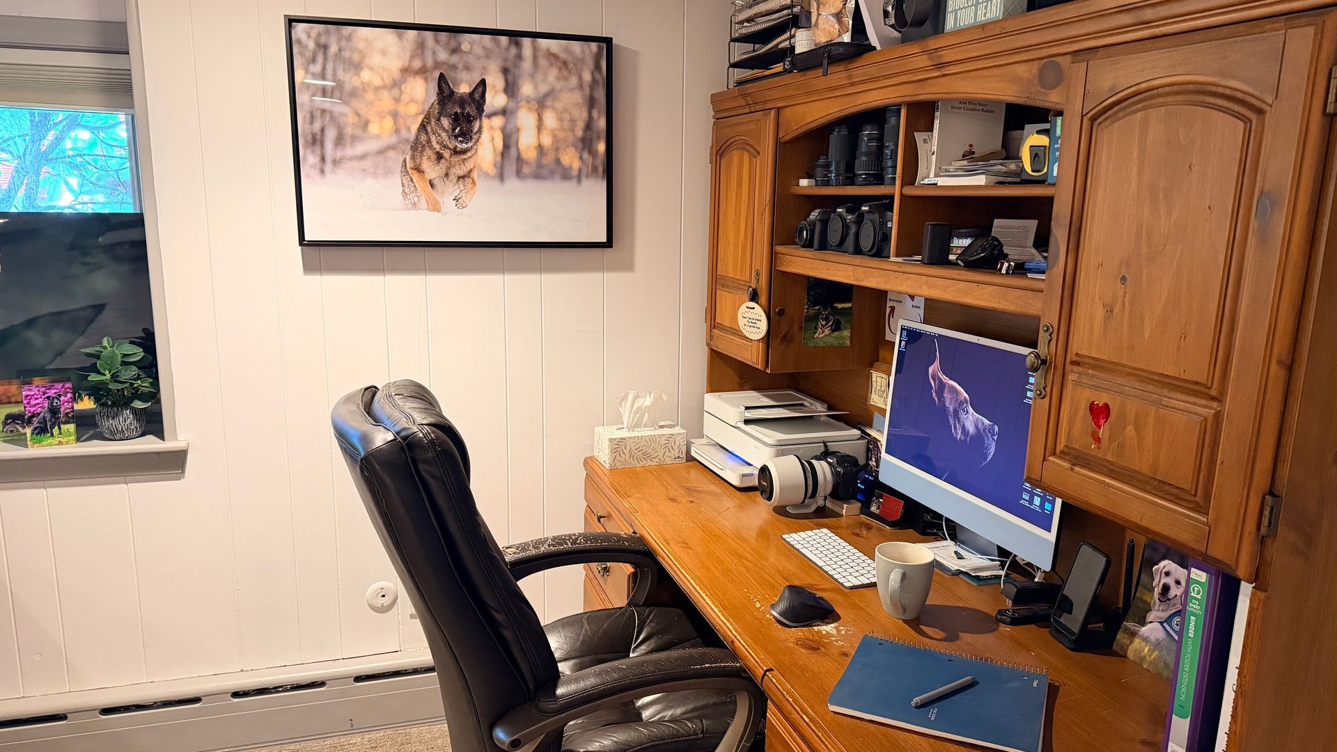 Framed metal wall art of a German Shepherd running through snow hanging above a home office desk
