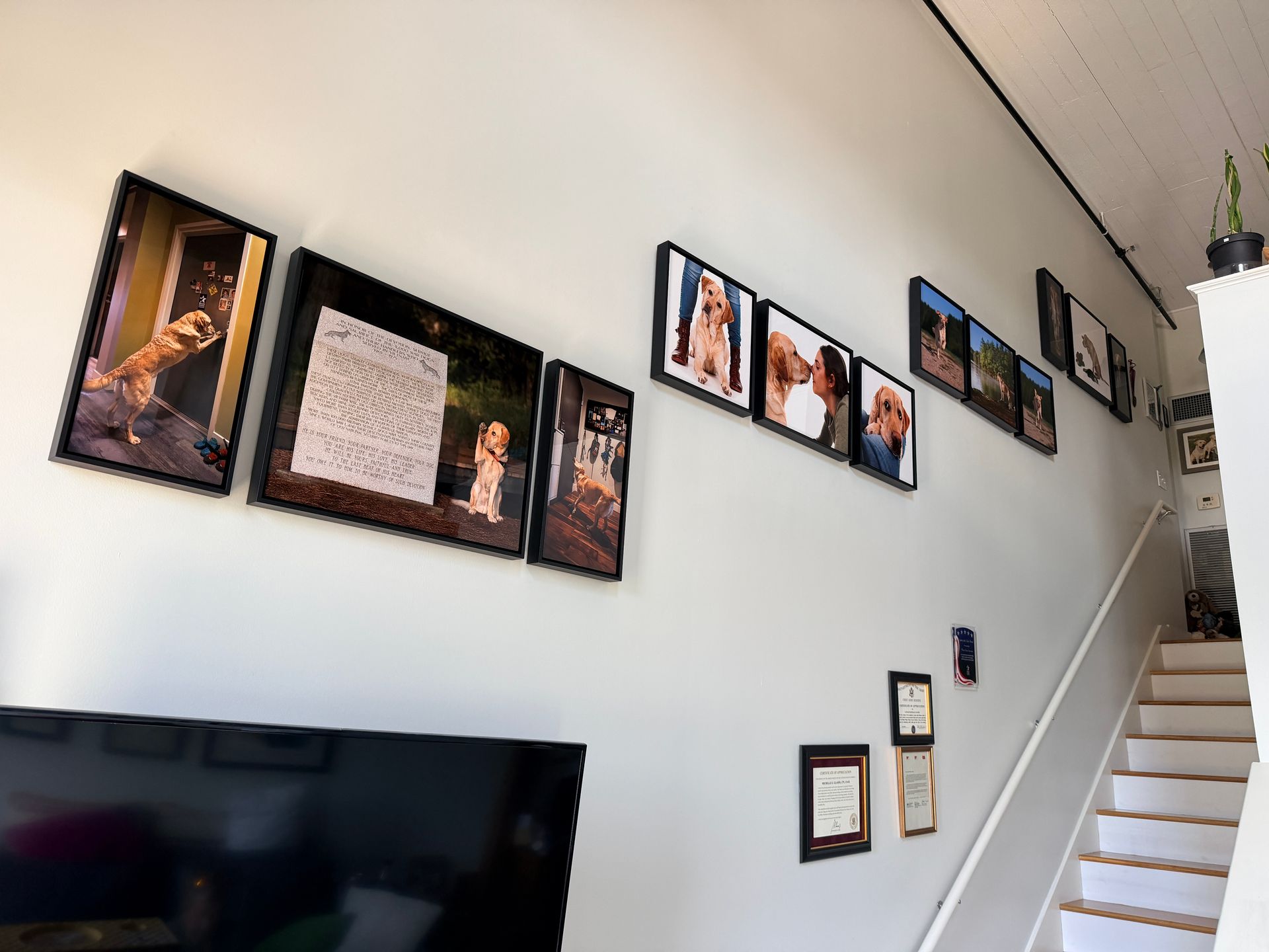 A large custom gallery of artwork hanging on a client's wall from several dog photo sessions in Massachusetts
