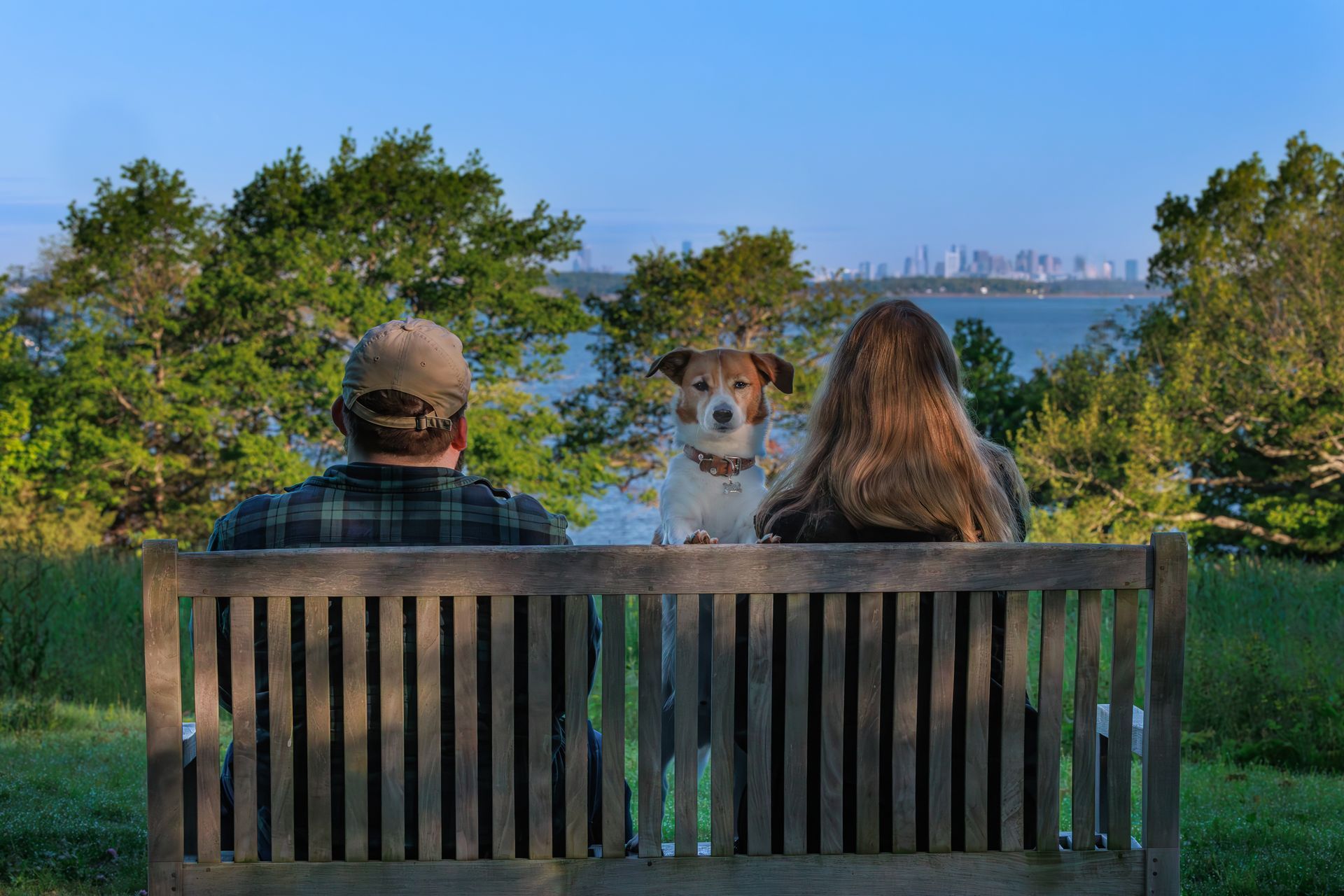 A couple sits on the bench looking at the Boston skyline while a dog looks at the camera during a photo session.
