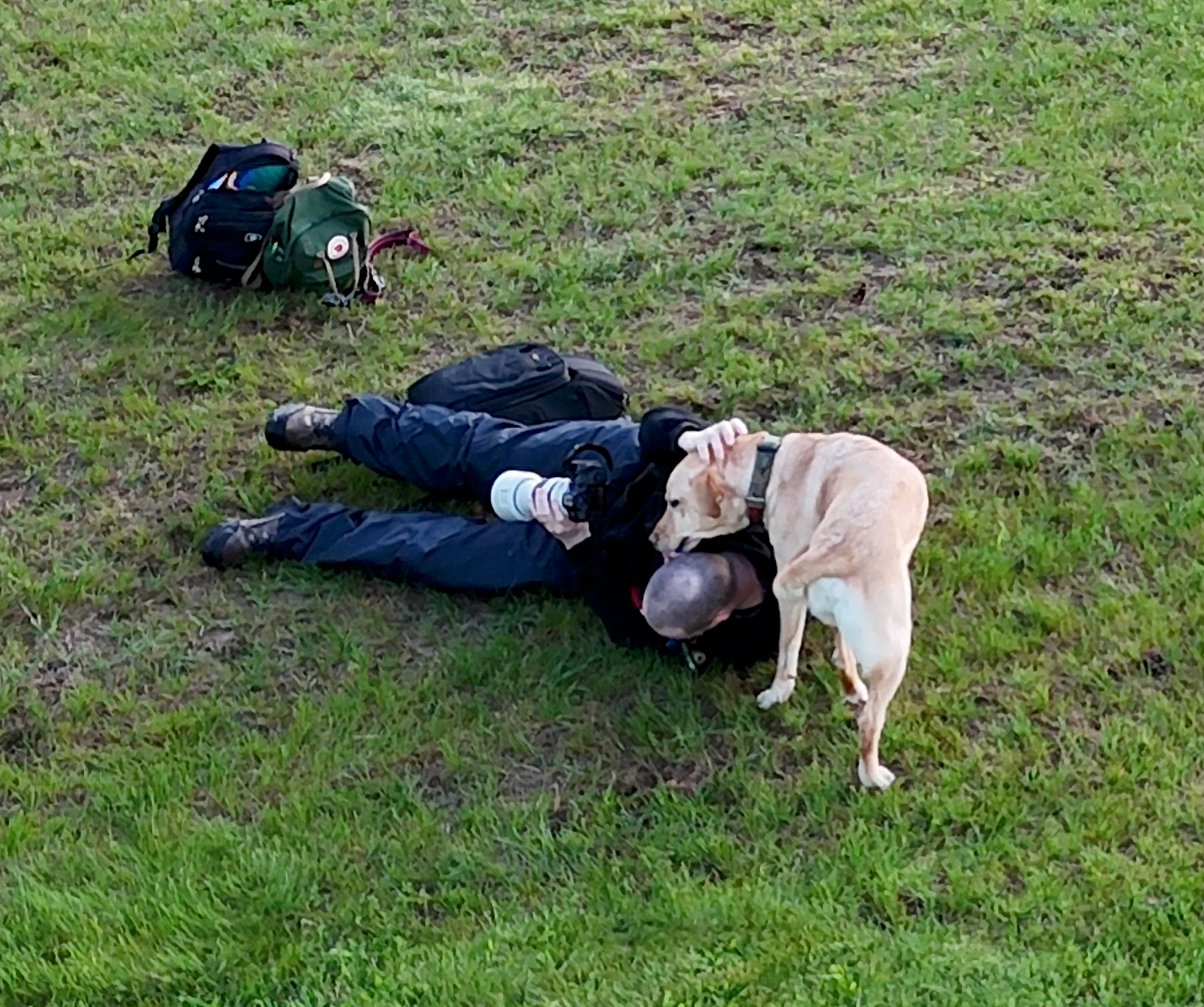 Behind the scenes image of a yellow lab kissing the photographer on the head during a dog photo session. 