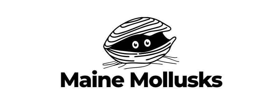 Maine Mollusks logo