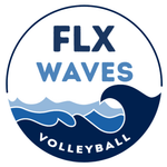 FLXWaves Logo