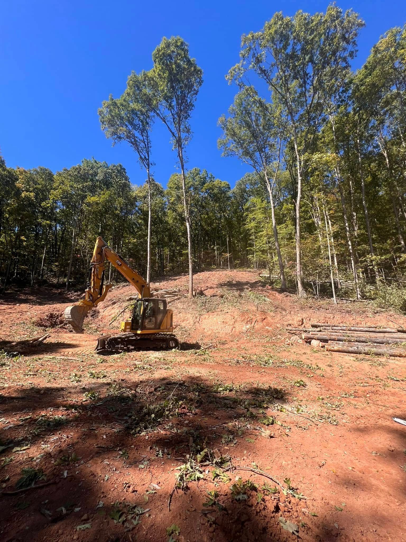 Orange excavator clearing a red dirt clearing beside tall green trees under a blue sky