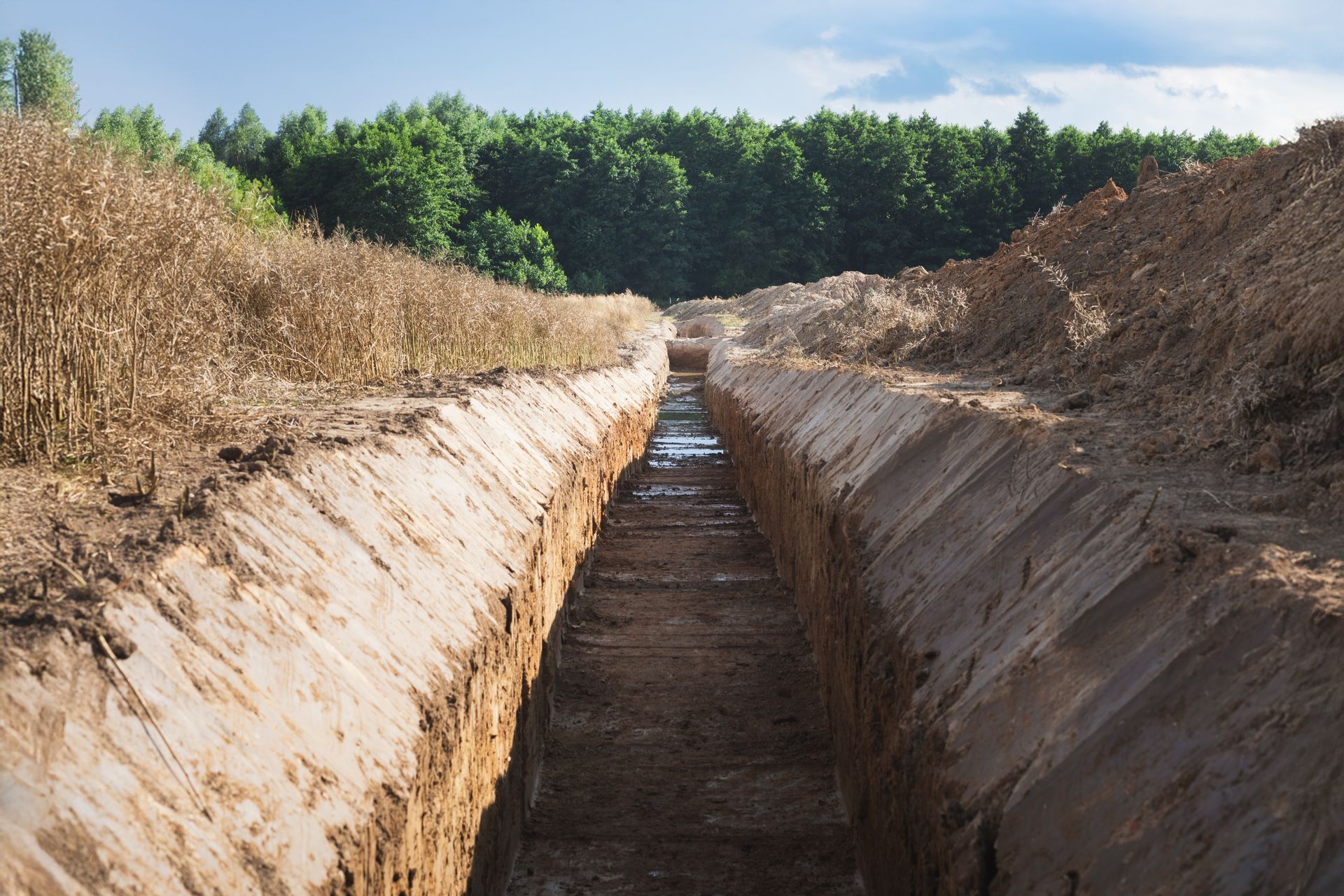 A deep dirt trench cuts through a dry field with trees and blue sky in the background.