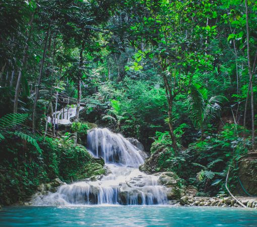 Streams of water through a beautiful valley
