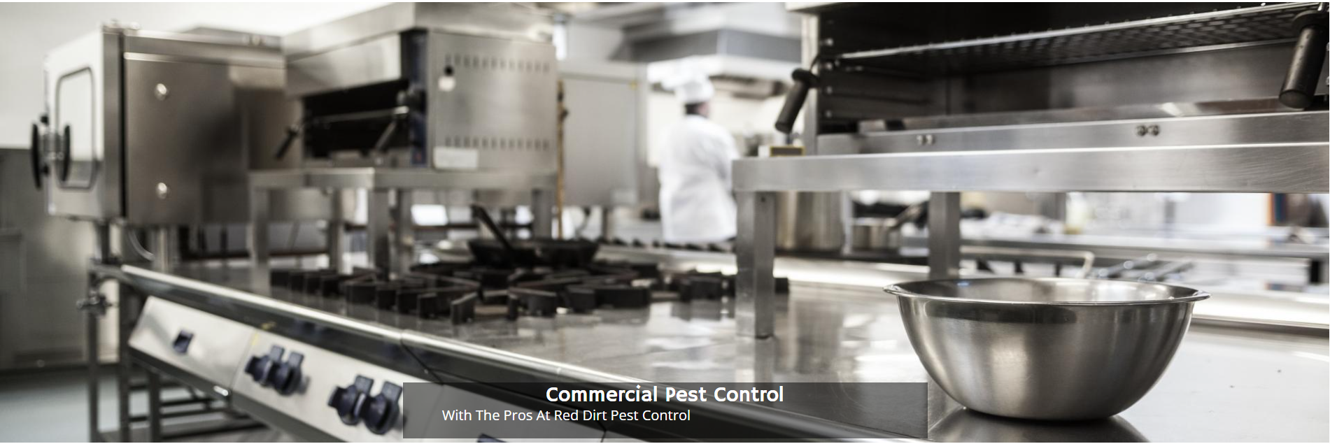 Professional commercial kitchen with stainless steel stoves, equipment, and a bowl on a prep counter.