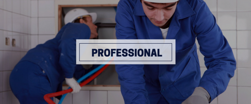 professional plumbers