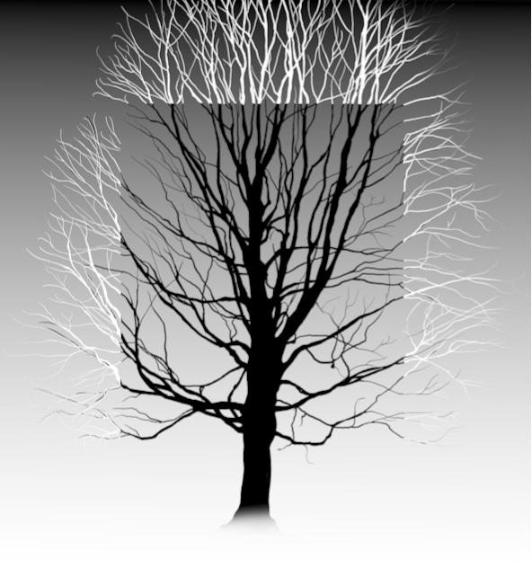A silhouette of a tree without leaves on a white background