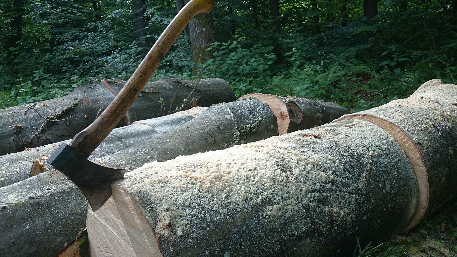 Eine Axt steckt oben in einem Rundholz. Dahinter liegen mehrere Stücke Rundholz