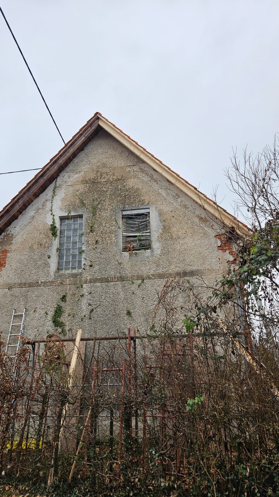 Altes, verwittertes Haus mit vernagelten Fenstern, überwuchert mit Weinreben, bewölkter Himmel darüber, jedoch mit neuem Dach