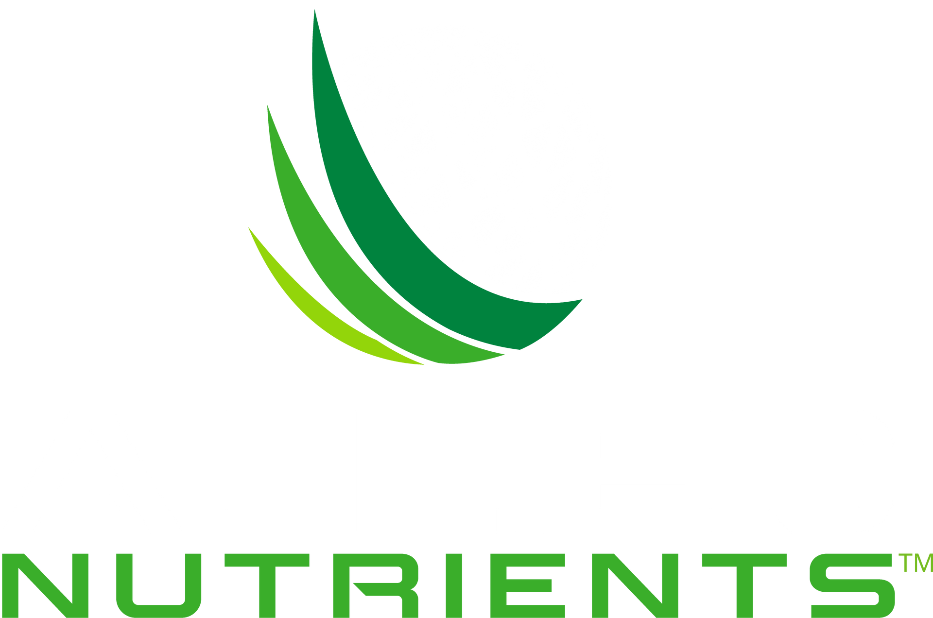 Allied nutrients logo featuring a gradient interwoven globe with 3 blades of grass extending from the left side.