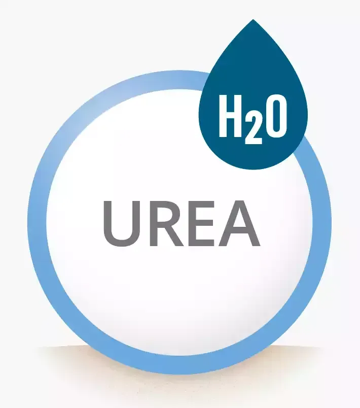 a circle with the word urea and a drop of h2o