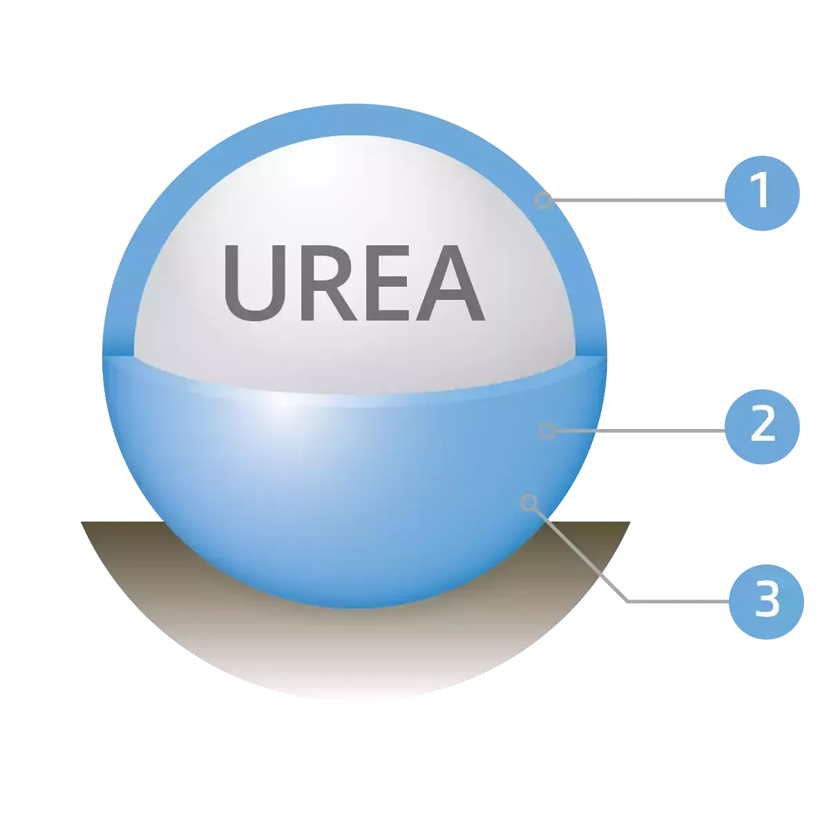 a granule of urea with the  numbers 1 2 and 3 pointing to different areas