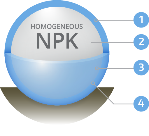A diagram showing the components of a homogeneous npk
