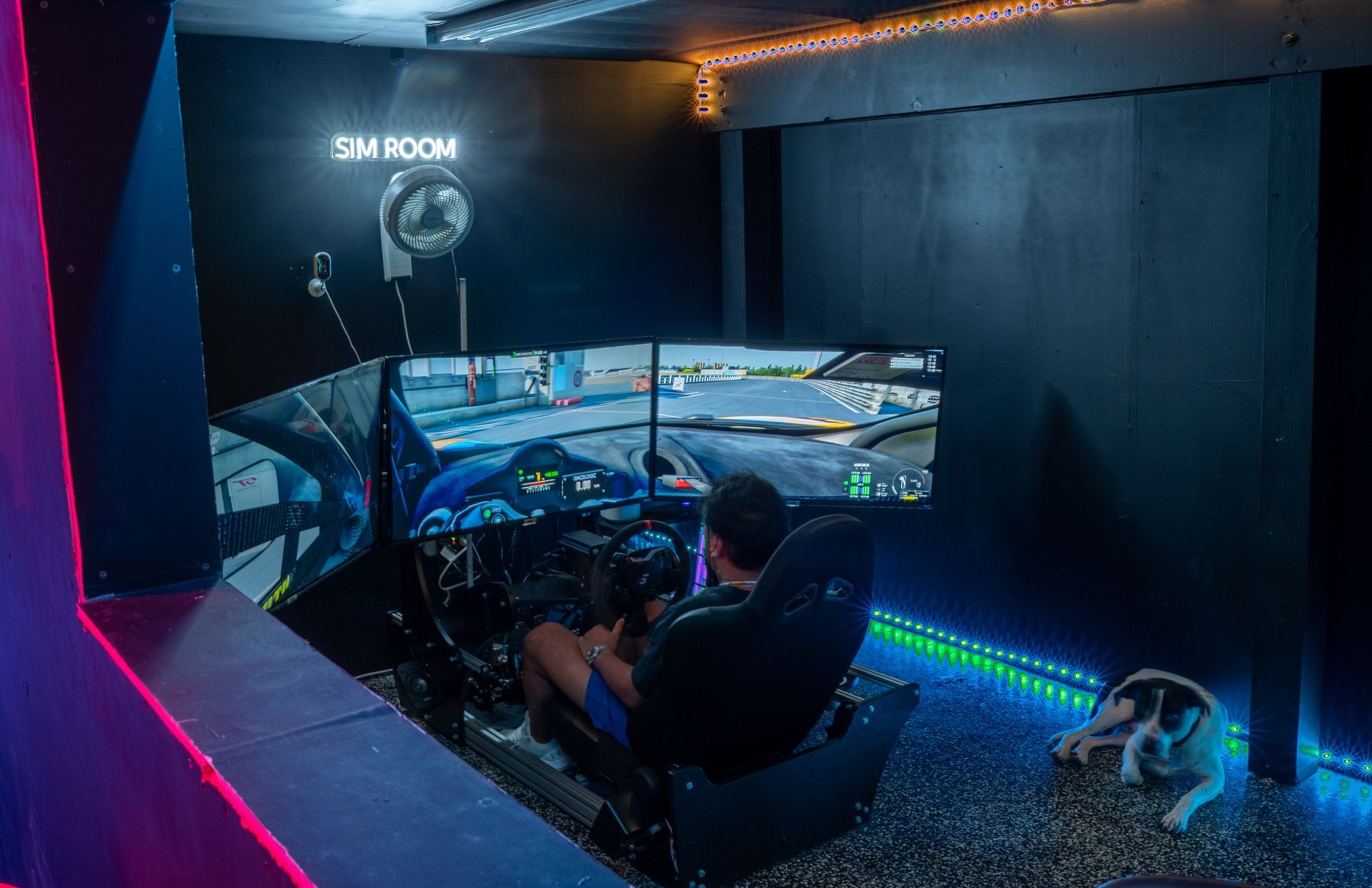 A person uses a racing simulator with multiple screens in a dark room. A dog rests on the floor nearby.