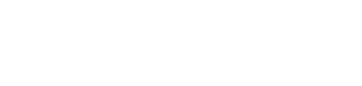 Next Level Auto Spa Logo